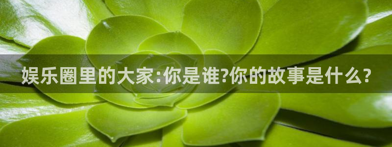 jjb竞技宝：娱乐圈里的大家:你是谁?你的故事是什么?