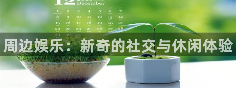 jjb竞技宝app：周边娱乐：新奇的社交与休闲体验