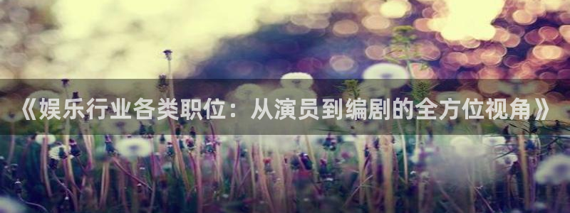 jjb竞技宝入口：《娱乐行业各类职位：从演员到编剧的全方位视角》