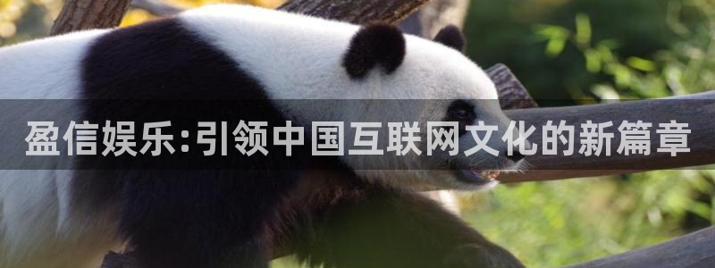 jjb竞技宝(中国)：盈信娱乐:引领中国互联网文化的新篇章