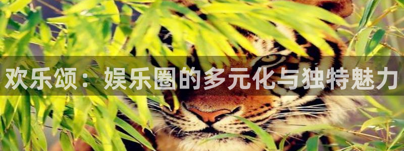 jjb竞技宝app网站：欢乐颂：娱乐圈的多元化与独特魅力